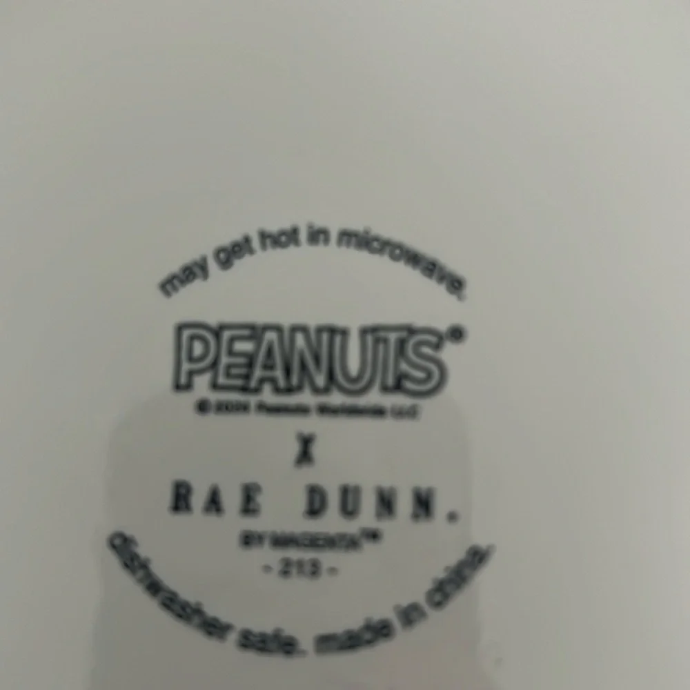 New Rae Dunn Halloween peanuts snoopy dog food bowl